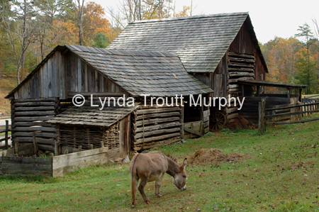 DSC_7737-4x6