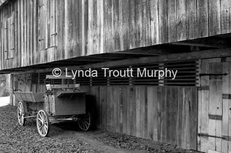 DSC_7776-bw
