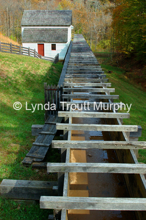 DSC_7796-4x6