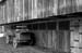 DSC_7776-bw