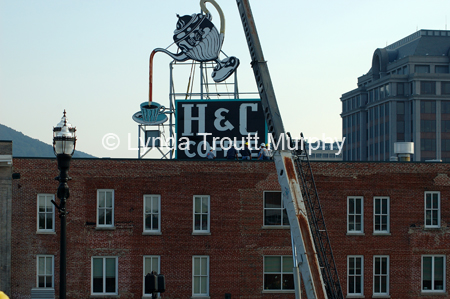 DSC_6579