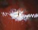 5686091-R4-036-16A